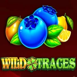 Slots logo of Wild Traces from Amusnet Interactive at BetPanda Casino